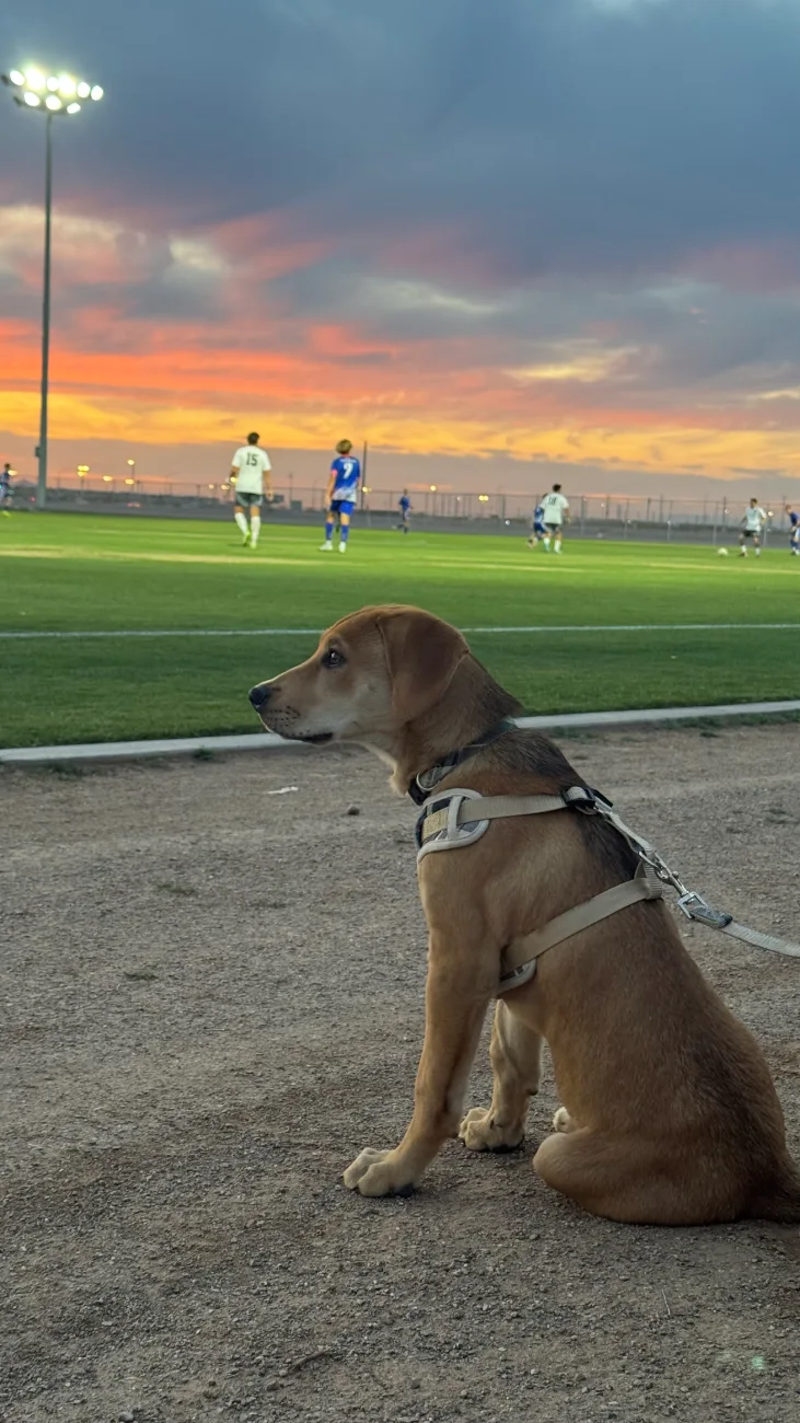 6027A27E-0F4B-4BD9-99CC-B7E243E2FA9C